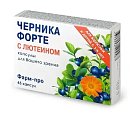 Купить черника форте с лютеином, капсулы 45 шт бад в Нижнем Новгороде